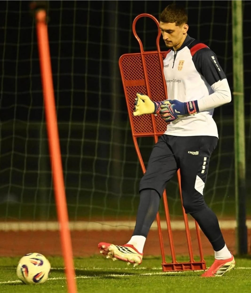 Đorđe Petrović