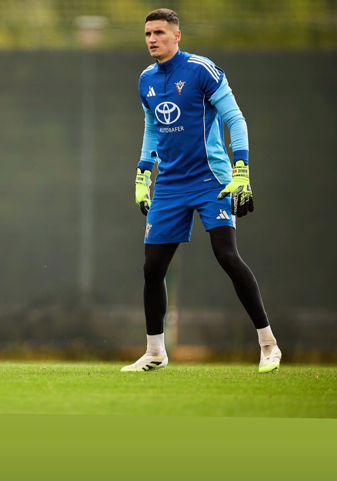 Igor Nikić